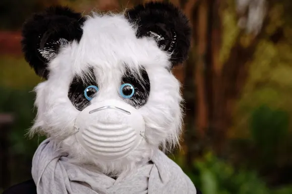 SilverPlay Casino Ënnerstëtzung